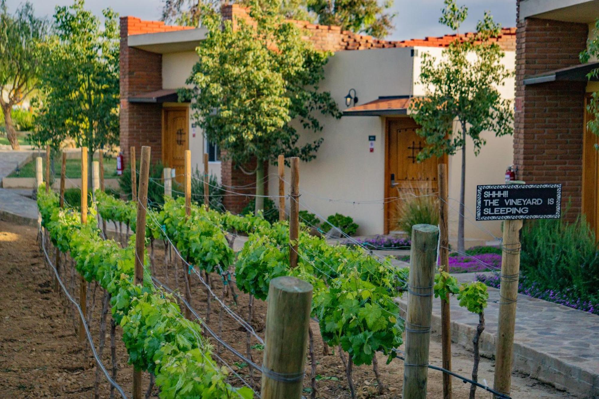 Ojo Azul Resort Valle de Guadalupe Esterno foto
