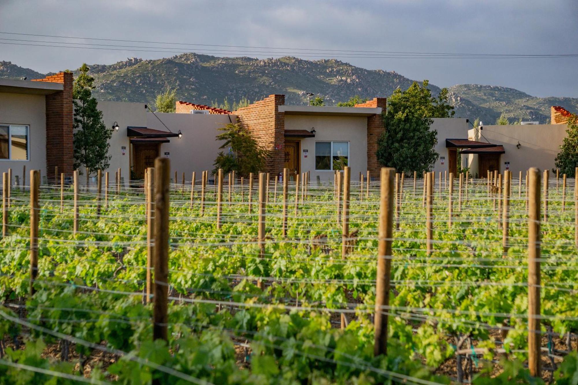 Ojo Azul Resort Valle de Guadalupe Esterno foto