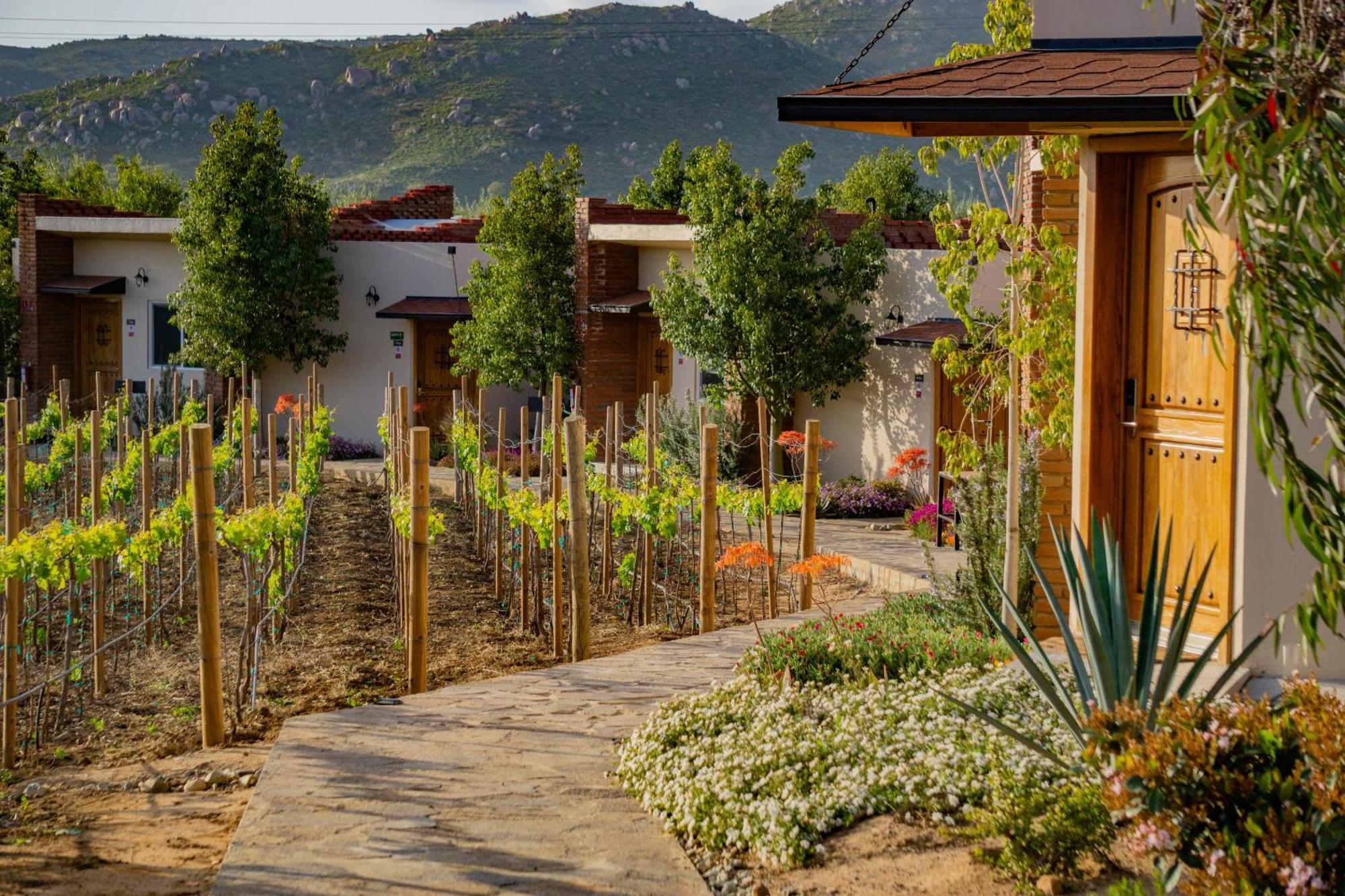 Ojo Azul Resort Valle de Guadalupe Esterno foto