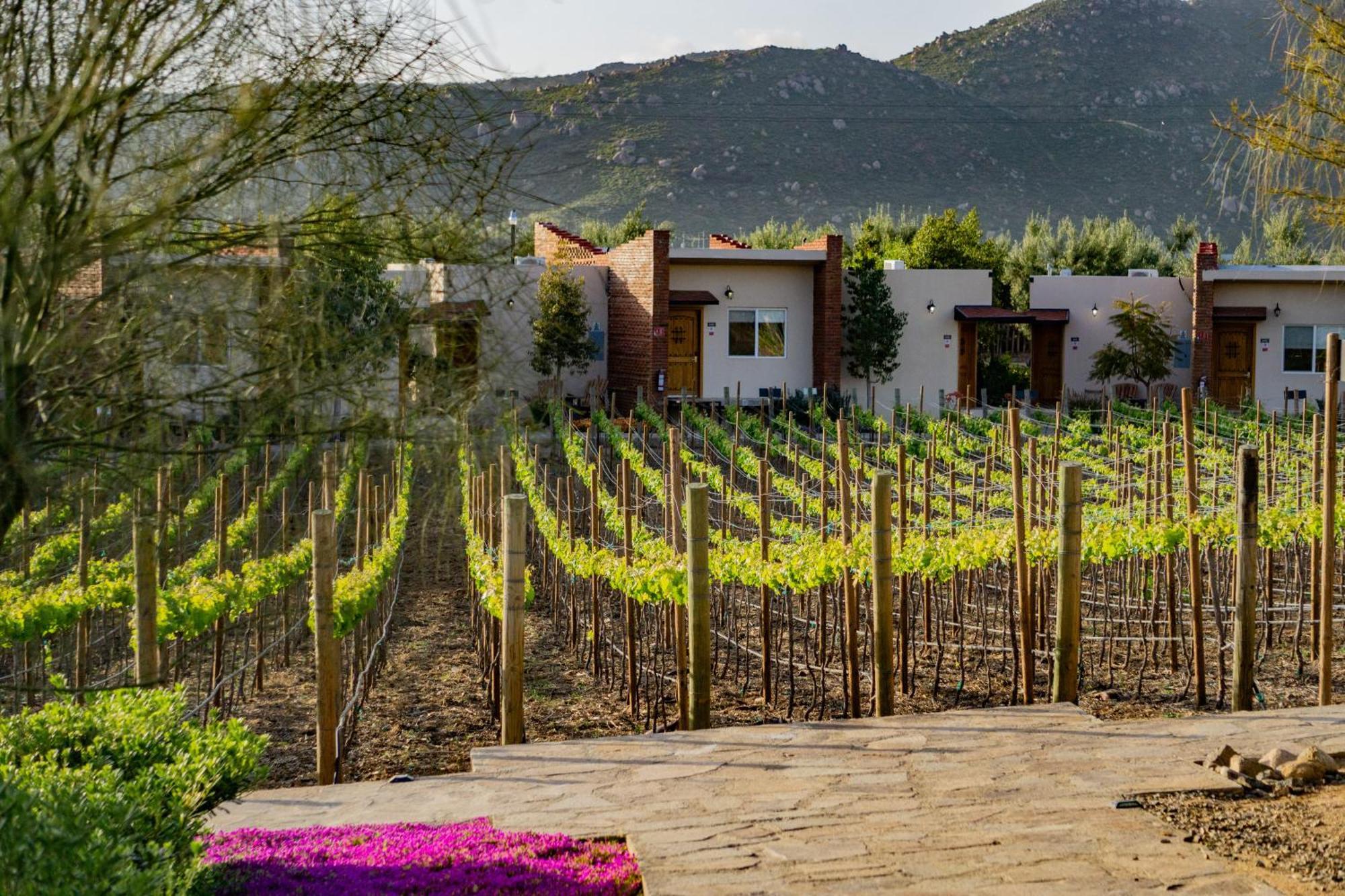 Ojo Azul Resort Valle de Guadalupe Esterno foto